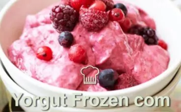 FROZEN IOGURTE COM NATURAL VEGAN ISO