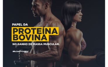 Saiba qual é o papel da proteína bovina no ganho de massa muscular