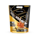 Gold Whey Concentrado Refil 900g