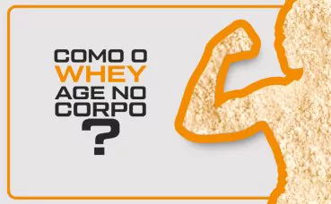 Como Whey Protein Age no Corpo?