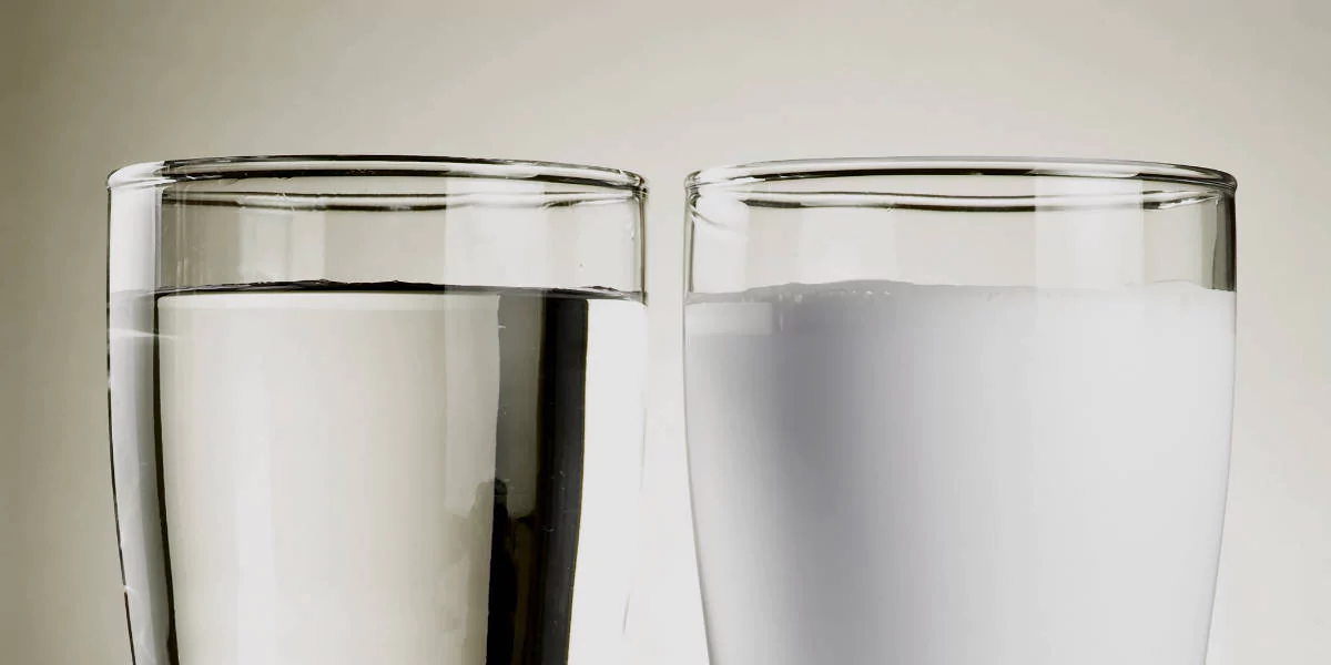 imagem 2024 02 09 152946402