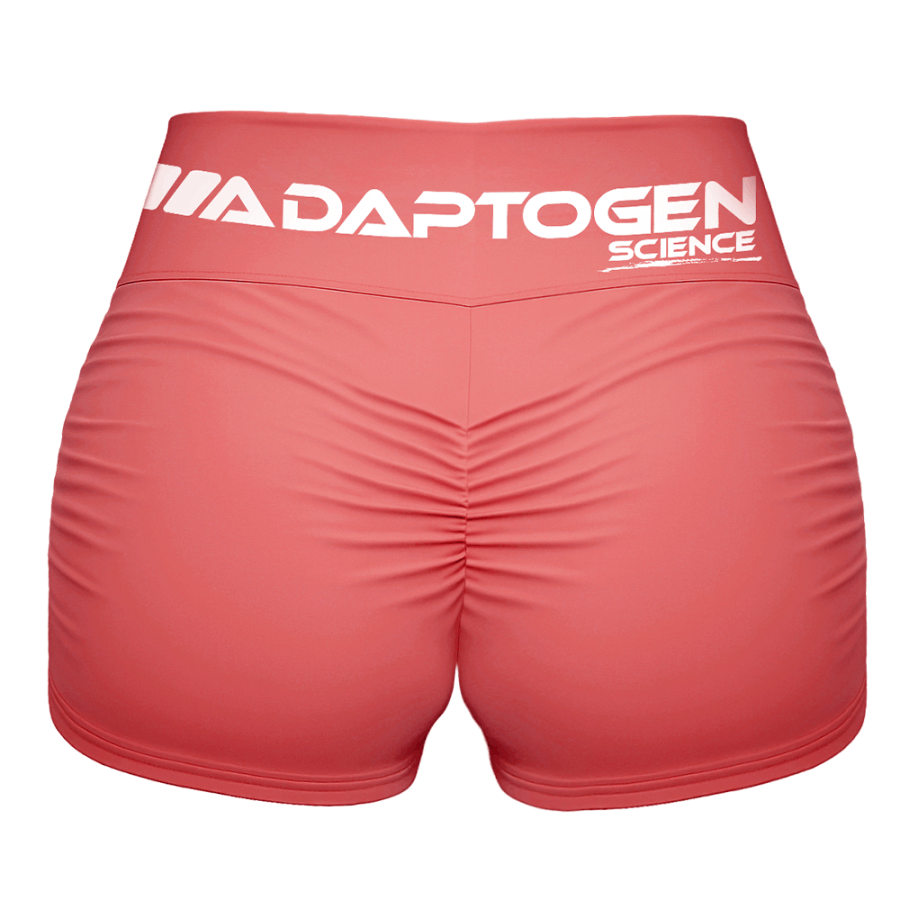 Shorts Adaptogen Fruit Goiaba